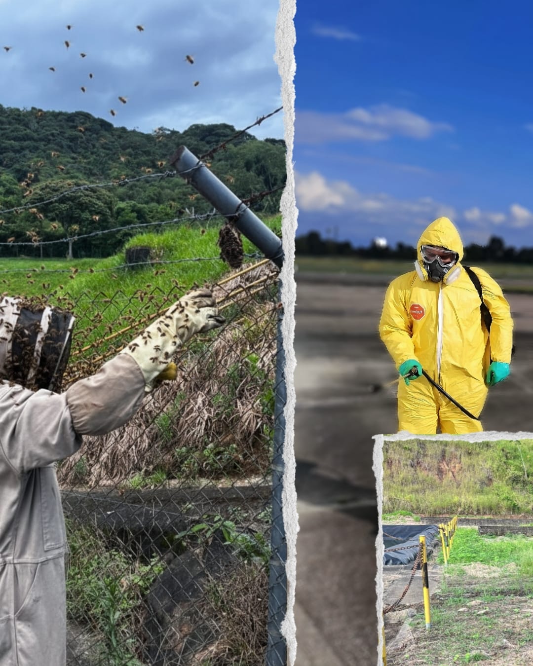 WhatsApp Image 2026-02-04 at 11.58.34 AM (1)