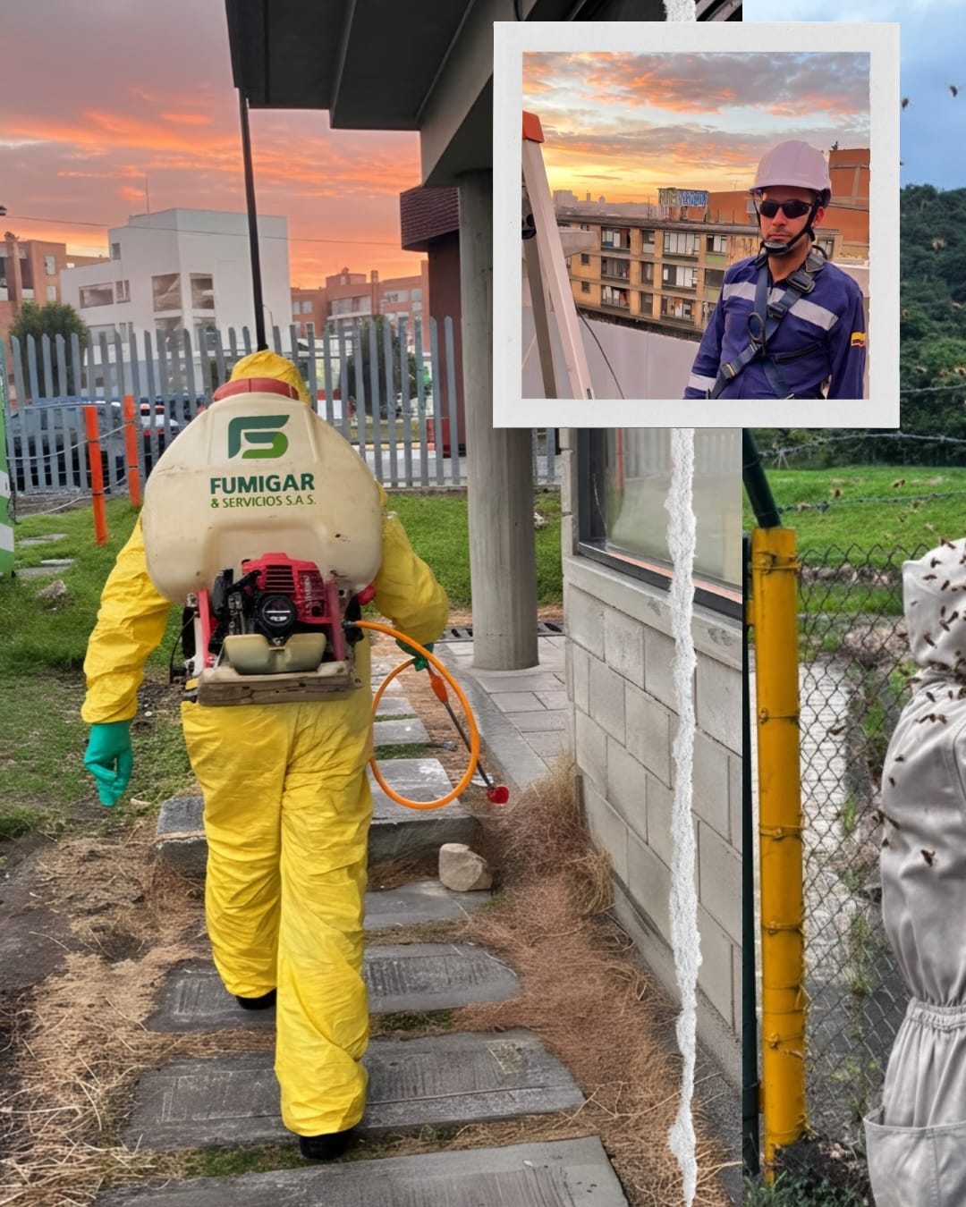 WhatsApp Image 2026-02-04 at 11.58.34 AM