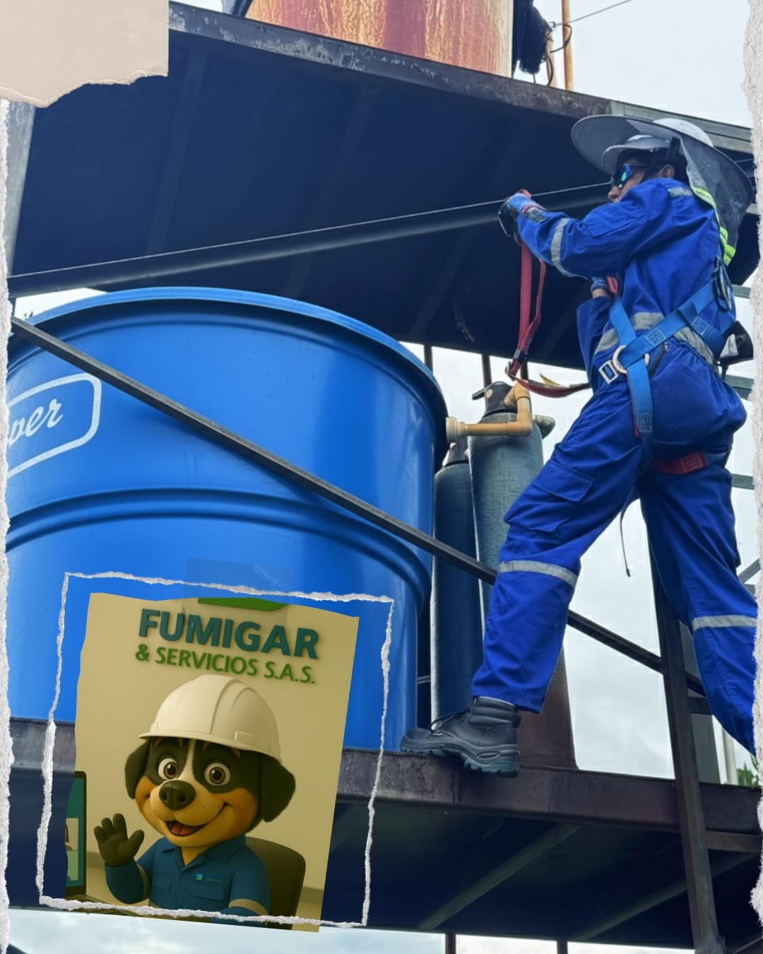 WhatsApp Image 2026-02-05 at 9.52.58 AM